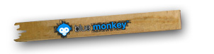 Website by Blue Monkey